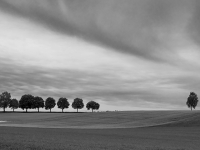 neun plus eins