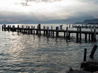 Lazise