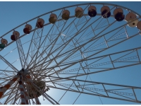 P1010289