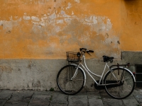 Fahrrad IMG_3283