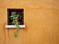 Fenster 02