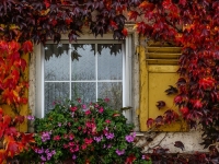 Fenster, Herbst IMG_5109