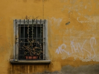 Fenster IMG_3259