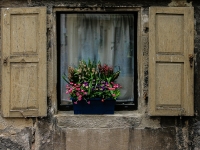 Fenster IMG_3692g