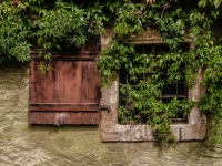 Fenster IMG_5217
