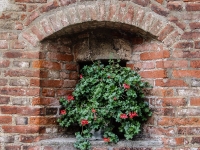 Fenster, Italien, Tocana, Tueren P8299838