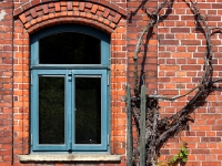 Fenster zum Hof