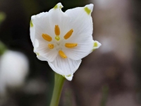 Frühling!