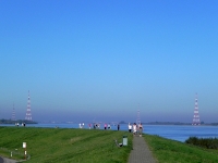 Auf dem Deich