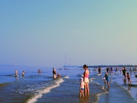Badevergn__gen