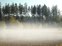 Bild 05