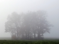 Bild 09