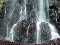 Radaufall