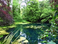 __lweiher