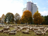 Dietz Werner16-10-22 10.24-1
