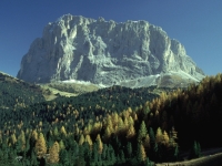 Csefalvay_H K 100 2H K 100 2