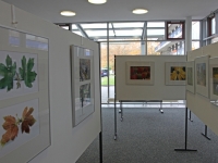 Z Ausstellung 6IMG_5988_pt