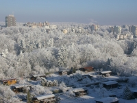 Dietz Werner_07-12-29 11.27-1