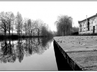 Radenbach_Werner-03_Brenzpark