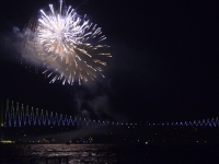 Feuerwerk und Bosporusbr__cke