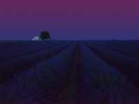 colours of the night