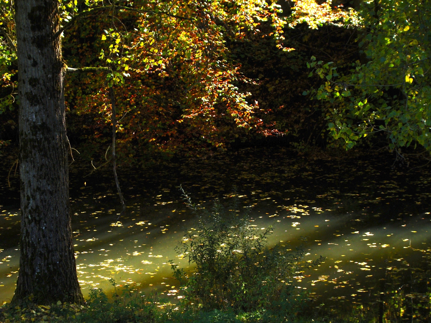 Herbststimmung an der Jagst 38 Herbststimmung an der Jagst