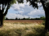 08 Postweg bei N'halden; Blick nach S