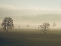 12 Herbststimmung (Bartholomä)