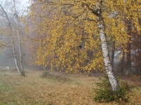 13 Herbststimmung