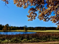 20 Weiherwiesen (Tauchenweiler)