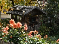 36 Herbstliche Gartenidylle