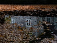 37 Herbststimmung (Schloß Mellentin/Usedom)