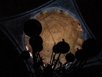 DSC00923.JPG