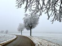 03-Bei-Gnannenweiler