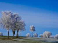 15.-Bei-Gnannenweilerjpeg