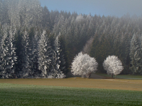 DSC02957.JPG