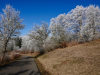 17-Strasse-zur-Heiderose