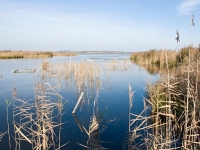2008.10.19 Bad Buchau Federsee-DSC03348