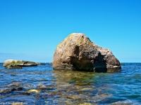 SONY DSC