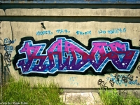 SONY DSC