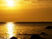SONY DSC