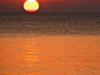 SONY DSC