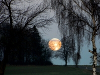 Fly me to the moon_Bildgröße ändern