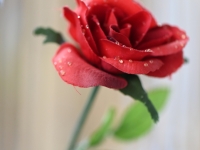 Scherer-Gerold_Kunstblume-B