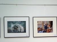 zAusstellung St. Pölten 11
