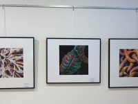 zAusstellung St. Pölten 14