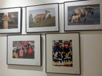 zAusstellung St. Pölten 15