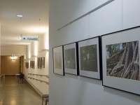zAusstellung St. Pölten 22
