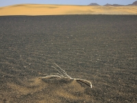 23_Farbiger Sand-082_MG_2835