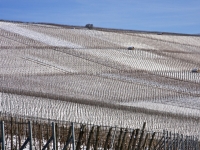 2011-01_Lichtenberg_Wengert_email
